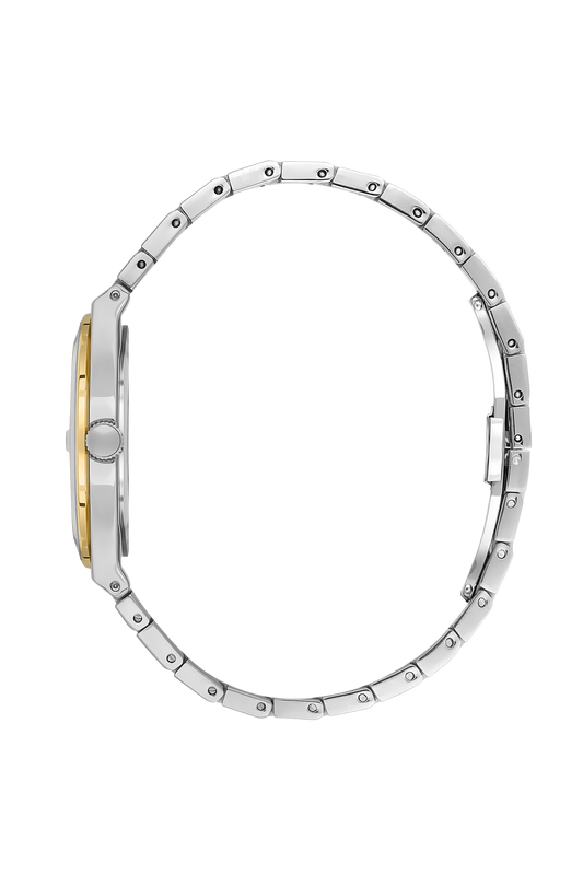 BEVERLY HILLS POLO CLUB Two-tone Diamond Watch – BP3562C.230