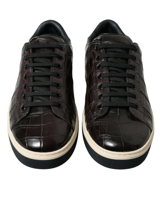 Dolce & Gabbana Brown Croc Exotic Leather Men Casual Sneakers Shoes - SMARTMARTNZ