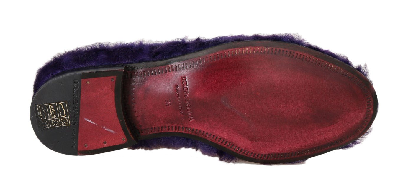 Dolce & Gabbana Purple Sheep Fur Leather Loafers - SMARTMARTNZ