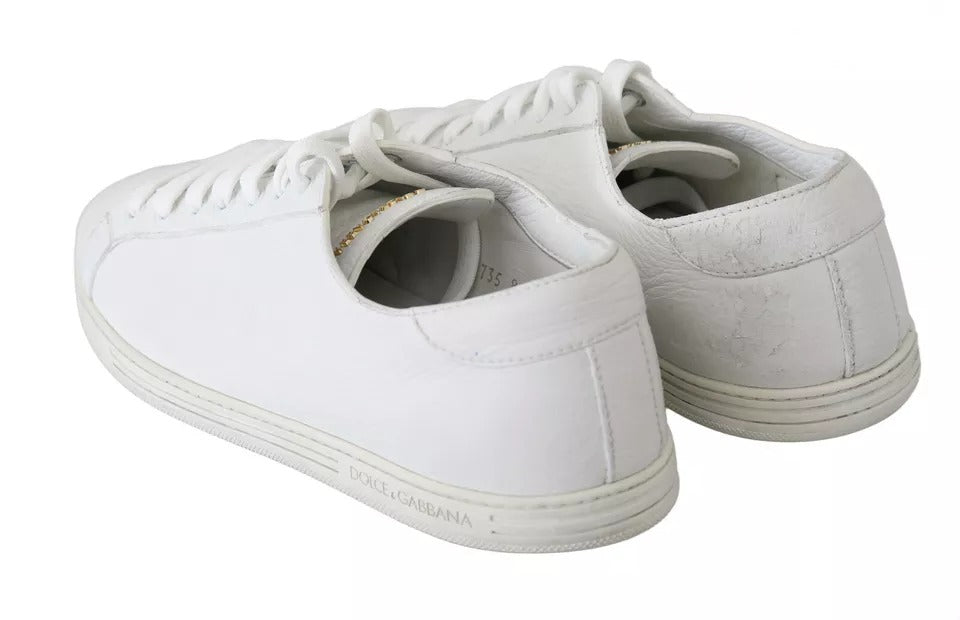 Dolce & Gabbana White Saint Tropez Lace Up Men Sneakers Men Shoes - SMARTMARTNZ