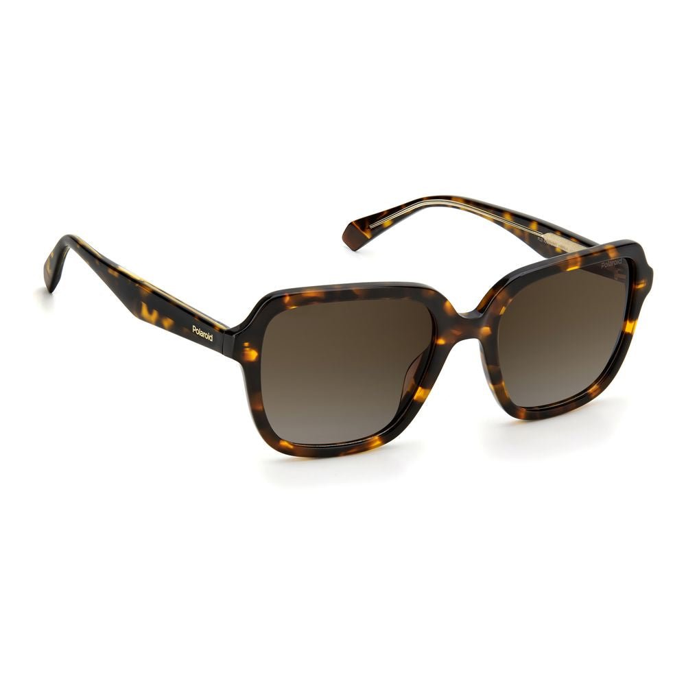 Polaroid Brown Acetate Sunglasses - SMARTMARTNZ