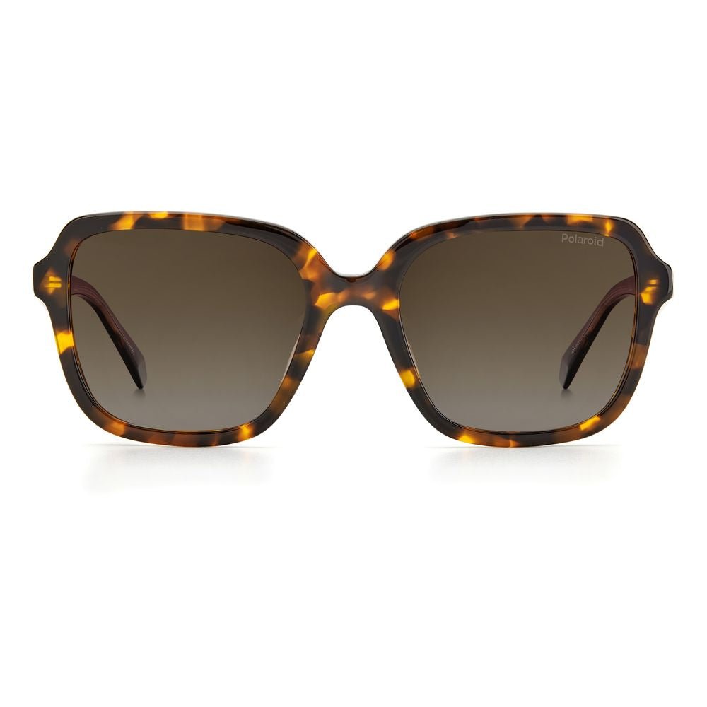 Polaroid Brown Acetate Sunglasses - SMARTMARTNZ