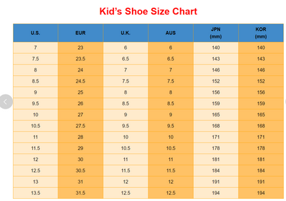 LED Single Wheel Skating Shoes