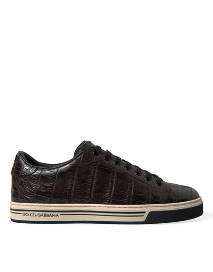 Dolce & Gabbana Brown Croc Exotic Leather Men Casual Sneakers Shoes - SMARTMARTNZ