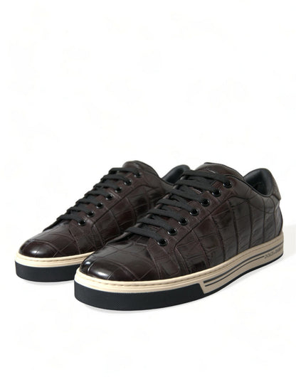Dolce & Gabbana Brown Croc Exotic Leather Men Casual Sneakers Shoes - SMARTMARTNZ