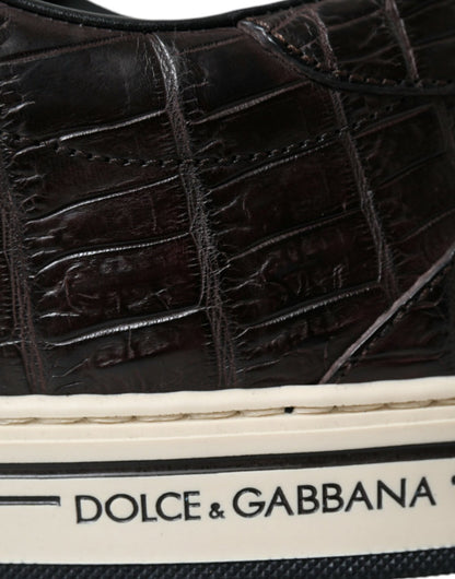 Dolce & Gabbana Brown Croc Exotic Leather Men Casual Sneakers Shoes - SMARTMARTNZ
