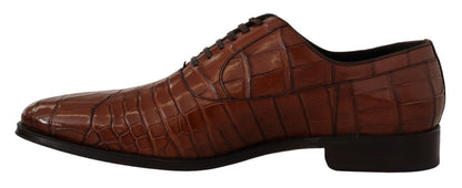 Dolce & Gabbana Brown Crocodile Leather Mens Formal Derby Shoes - SMARTMARTNZ