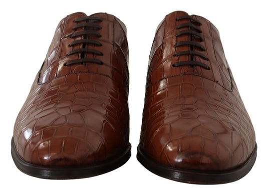 Dolce & Gabbana Brown Crocodile Leather Mens Formal Derby Shoes - SMARTMARTNZ