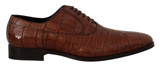 Dolce & Gabbana Brown Crocodile Leather Mens Formal Derby Shoes - SMARTMARTNZ