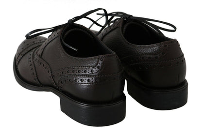 Dolce & Gabbana Brown Leather Wingtip Derby Formal Shoes - SMARTMARTNZ