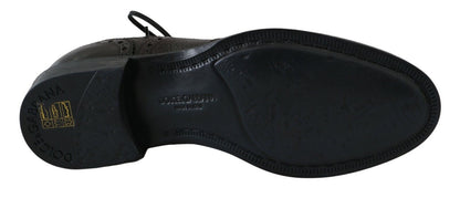 Dolce & Gabbana Brown Leather Wingtip Derby Formal Shoes - SMARTMARTNZ