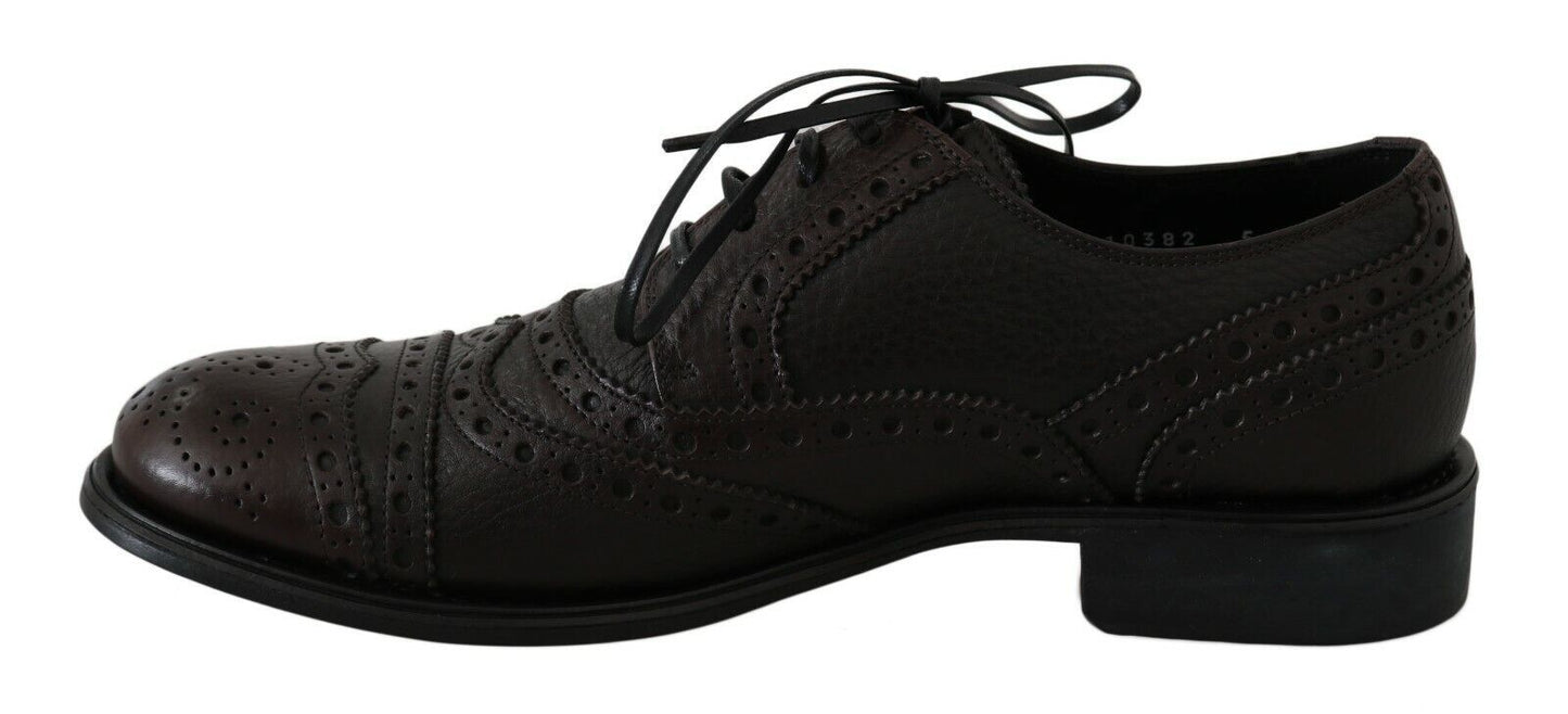 Dolce & Gabbana Brown Leather Wingtip Derby Formal Shoes - SMARTMARTNZ