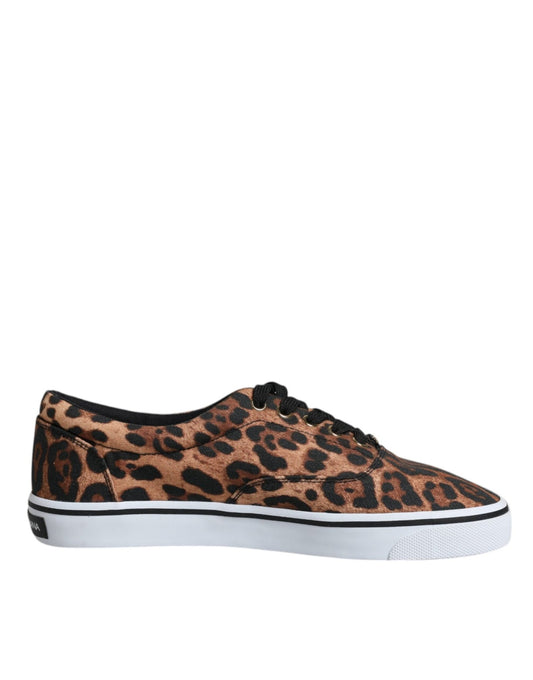 Dolce & Gabbana Brown Leopard Logo Print Cotton Sneakers Shoes - SMARTMARTNZ