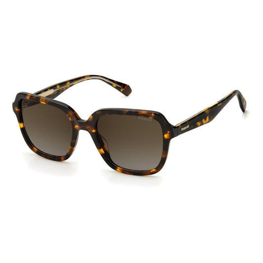 Polaroid Brown Acetate Sunglasses - SMARTMARTNZ