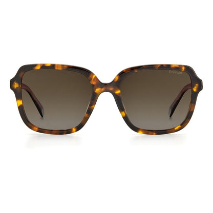Polaroid Brown Acetate Sunglasses - SMARTMARTNZ